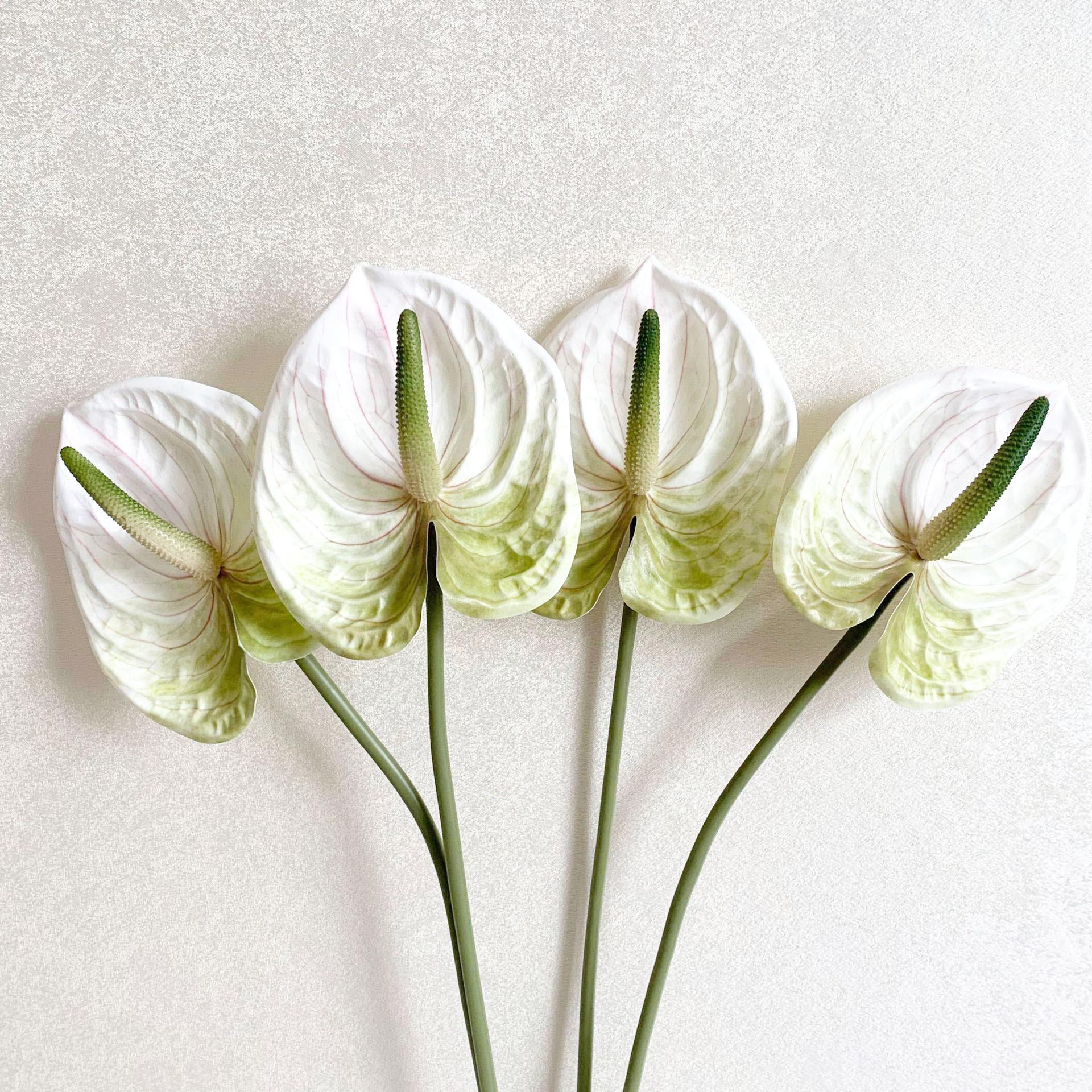 QQ图片20200809102913