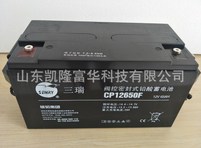 CP12650FA
