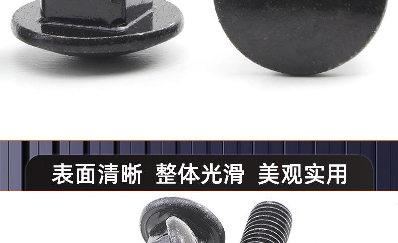 黑色304不锈钢马车螺栓_03_17.jpg