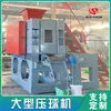 Línea de producción de máquina prensadora de bolas a gran escala personalizada máquina para fabricar bolas de polvo de doble rodillo máquina prensadora de bolas de carbón para planta de energía de Xinjiang planta de acero