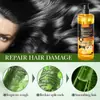 Sadoer Limón Jengibre Suave Nutritivo Champú Limpiador para el Cabello Venta al por Mayor Transfronteriza