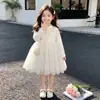 Conjunto de niña colección otoño 2026: Conjunto de dos piezas: top de tirantes dulce de encaje estilo coreano y vestido de princesa sin mangas de malla