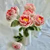 Nueva Flor de Peonía Tejida a Mano Flor de Lana Nuevo Producto Terminado de Simulación Boda Cumpleaños Decoración del Hogar Venta al por Mayor Transfronteriza