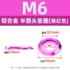 Arandelas de Aleación de Aluminio Color Rosa Cabeza Semicircular M2M8 Arandelas Decorativas Ranuradas de Aleación de Aluminio Modelo Arandelas de Cabeza Plana Venta al por Mayor