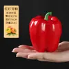 Modelo de espuma de vegetais e frutas pimenta cenoura pepino abóbora alho milho decoração material didático infantil