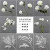 Flor artificial blanca Mori flor de seda blanca lechosa flor de techo suave para salón de bodas peonía rosa nieve