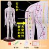 Modelo do Corpo Humano com Pontos de Acupuntura, Diagrama dos Doze Meridianos da Medicina Tradicional Chinesa do Corpo Inteiro, Modelo de Manequim de Cobre para Prática de Acupuntura, Pequeno Manequim de Pele