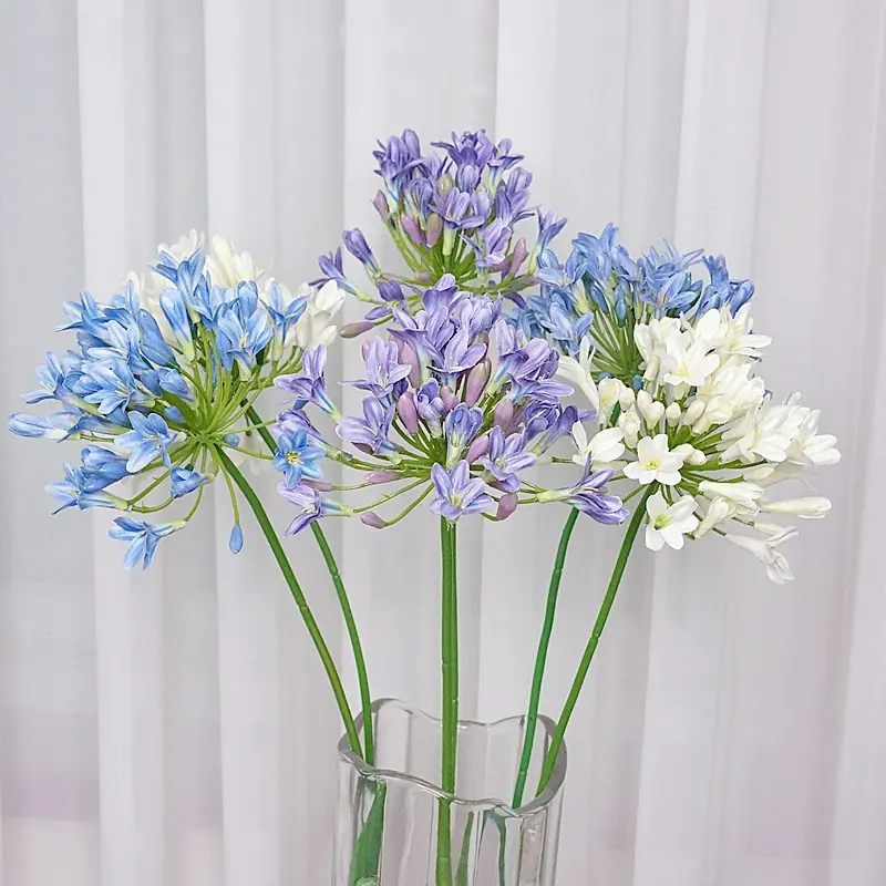DSC08703.JPG