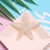 Nuevo lentejuela transparente luminosa estrella de mar concha de perla DIY celebridad de Internet accesorios para horquilla hebilla de zapato accesorios para imán de nevera
