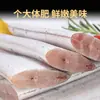 Pez sable congelado del Mar de China Oriental, Pez sable entero capturado del mar, Caja entera de mariscos, Venta al por mayor comercial, Envío gratis