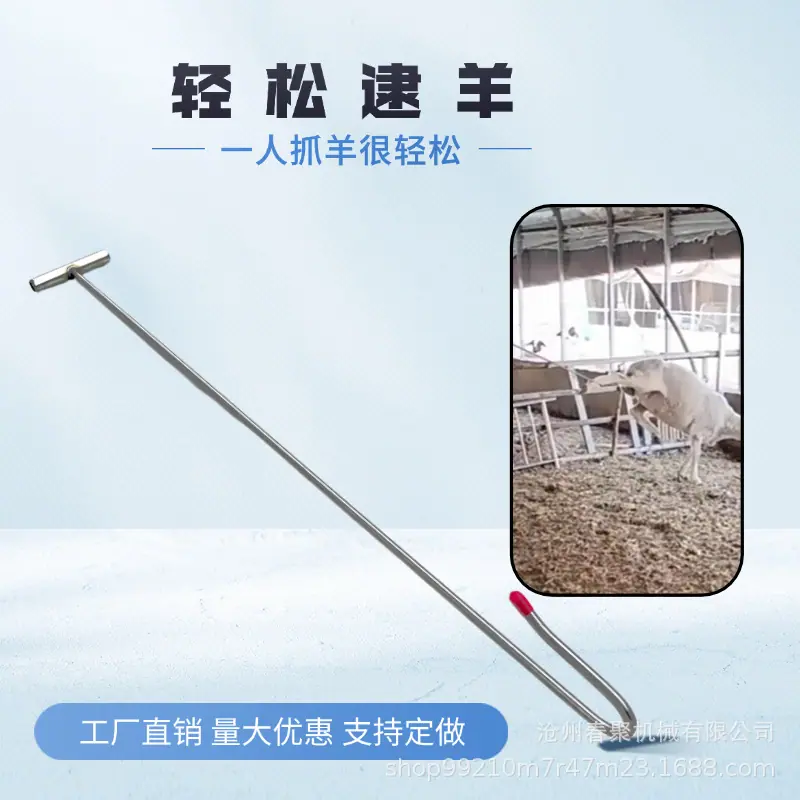 微信图片_20250703095025.jpg