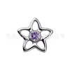 Joyería de Aleación de Titanio Jiangtai F136 con Diseño de Flor Pequeña e Incrustación de Circonita, Joyería para Piercing Corporal de Aleación de Titanio G23, Aretes