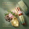 Rodillo de Cuarzo Rosa con Bola de Aceite de Ricino Cuidado de la Piel Hidratante y Suavizante Portátil Masaje Diario Cuidado Corporal Nutritivo