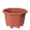 Jarrón de Dragón Octagonal Duro de Plástico Grueso Extra Grande Maceta de Flores Maceta de Jardín Buganvilia Árbol Frutal Bonsái Montículo Viejo Pino Luohan Maceta Especial