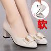 Zapatos de Madre Zapatos de una sola capa Suela cómoda y suave Zapatos para Mujer Nuevos 2020 Primavera y Otoño Zapatos para Mujer de mediana edad Zapatos para mediana edad y mayores Zapatos de tacón medio de piel