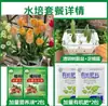 Tulipanes Hidropónicos al por Mayor 5 Grados Bulbos Grandes Resistentes al Frío para Invierno Interior/Exterior Fáciles de Cultivar para Principiantes Flores en Maceta Plantas