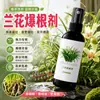 Estimulador de Raízes de Orquídea Solução Nutritiva Cuidado com o Replantio de Orquídeas Gerenciamento do Sistema Radicular Suprimento Nutricional Diário Jardinagem de Plantas em Vasos