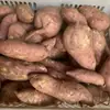 Batatas Dulces Frescas de Variedad AntiguaBatatas Dulces Amarillas Sin Fibra Cultivadas en Casa Recién Desenterradas 2.5kg / 4.5kg