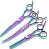 Conjunto de Tesouras para Pet para Tosquia e Aparo, Tesoura Reta, Tesoura Curva, Tesoura de Desbaste, Tesoura para Pelo de Cachorro, Tesoura Profissional para Aparo
