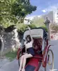 República de China Bicicleta Turística Eléctrica Fotografía Imitación Antigua Retro Exposición Lugar Escénico Boda Arte en Hierro Bicicleta de Pedales
