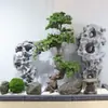 Simulação Pedra Taishan Atacado Machado Rachando Pedra Pátio FRP Jardim Pedra Onda de Neve Rocha Paisagismo Pedra Pedra Taihu