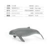 Simulação Transfronteiriça Modelo de Animal Marinho Infantil Tubarão-Baleia Mini Golfinho Tartaruga Leão-Marinho Figura Estática Sólida Ornamento