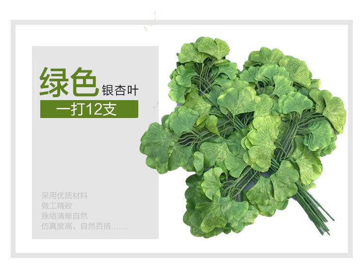 银杏叶详情_09.jpg