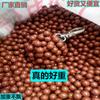 Estilingue lama pílula de segurança lama bala 8mm9mm10mm bola de aço elástica ponderada bola de lama magnética super dura pílula de cerâmica