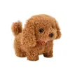 Cachorro de Brinquedo Elétrico Pelúcia para Crianças, Corgi Ursinho Realista que Anda e Late, Adequado para 1-3 Anos, Brinquedo Transfronteiriço