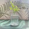 Em estoque na fábrica Mini Vaso Vidro Transparente com Relevo Francês Ornatos Hidropônicos para Arranjo de Flores Frasco Perfumado Garrafa Decorativa Vazia