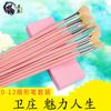 Pincel de Abanico de Cerdas Rosadas con Mango Largo para Gouache, Acuarela, Pelo de Cerdo, Set de Pinceles para Óleo, Pincel para Dibujo de Pintura Acrílica