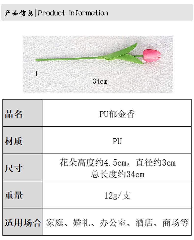 PU郁金香_02.jpg
