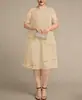 Vestido de Chifón con Manga Corta, Encaje Hueco y Parches, Adelgazante, Versátil para el Trabajo, Tallas Grandes, Nuevo, Transfronterizo Europeo y Americano 2026