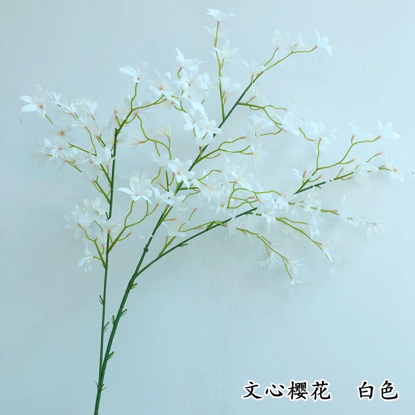1-00_副本