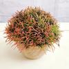 Mini planta de cactus en maceta de estilo nórdico, carnosa, pequeña, de simulación, verde, decorativa, de escritorio