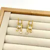Novos Brincos de Linha Assimétrica com Zircônia Microincrustada, Estilo Ins, Luxo Leve, High-End
