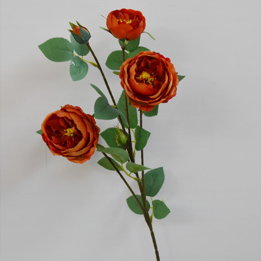 奥斯丁玫瑰焦糖色