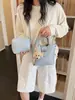 Bolso Único Texturizado Bolso Tote Pequeño para Mujer 2026 Nuevo Bolso Cubo Simple Versátil Bolso de Hombro Cruzado Bolso de Moda