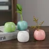 Vaso Cerâmico Colorido Pequeno Transfronteiriço Arranjo de Flores Hidropônicas Recipiente para Flores Secas Decoração de Sala de Estar Mesa de Escritório Esmalte Colorido Artesanal