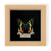Marco de Fotos de Espécimen de Mariposa Pintura Decorativa de Madera Adorno Retro Europeo Soporte de Exhibición Muebles DIY Regalo de Cumpleaños Festividad