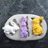 Molde de silicona con forma de conejo para tarta, 3 piezas, para hornear, para aromaterapia, casero