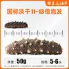 Pepino de Mar Seco Auténtico Grado Tres Estándar Nacional de Dalian, Pepino de Mar Seco de Liaoning, Pepino de Mar con Tasa de Expansión 12 Veces Mayor, Directo de la Fábrica de Origen, Disponible para Venta al por Mayor