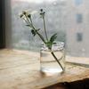 Botella pulgar multicarne flor de piedra cruda florero pequeño especial decoración de ventana botella de vidrio sopa de huevo de durazno dispositivo de flores mini redondo