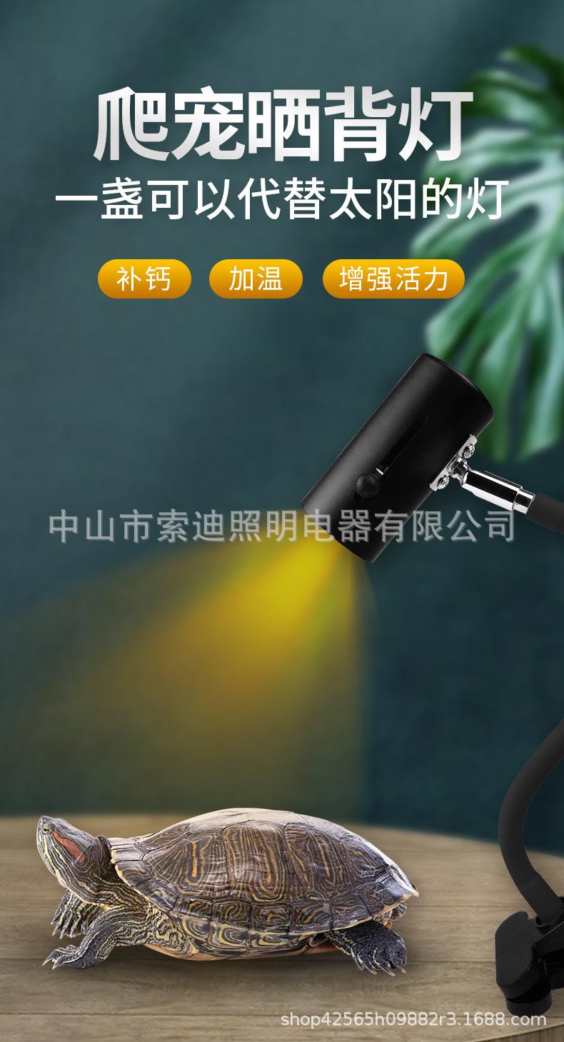 乌龟灯-(2)_02.jpg