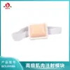 Módulo de Inyección Muscular Boyou, Dispositivo Médico de Enseñanza para Práctica de Inyección, Molde de Inyección para Entrenamiento de Enfermería