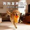Brinquedo de corda de algodão resistente a mordidas de molares de cachorro, brinquedo pequeno e médio para cachorro, brinquedo de nó de corda, roupa de frisbee, suprimentos para animais de estimação
