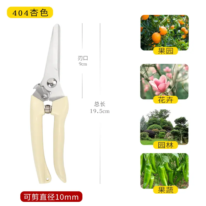 404杏色