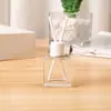 Salida de Aire Tapa Blanca Varilla de Fibra Botella Vacía de Aromaterapia Botella de Vidrio Reempaque de Aromaterapia Botella de Fragancia Difusor de Ratán Botella de Perfume Botella de Vidrio