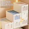 Caja de Almacenamiento de Tela con Ventana Visible para Ropa, Organizador de Armario, Caja de Almacenamiento Plegable para Ropa Interior, Calcetines, Algodón, Lino y Pantalones