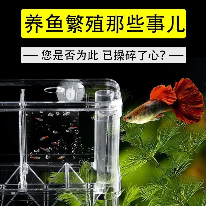 O1CN01p2FPRp1UGSu9Ro0kK_!!2201